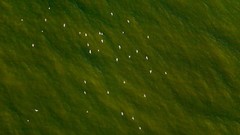 Landscapes nature lithuania Baltic states unseen lithuania