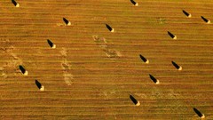 Landscapes nature lithuania Baltic states unseen lithuania