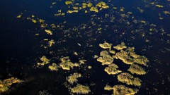 Landscapes nature lithuania Baltic states unseen lithuania