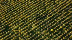 Landscapes nature lithuania Baltic states unseen lithuania