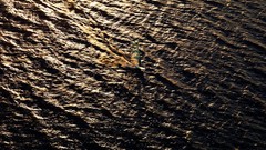 Landscapes nature lithuania Baltic states unseen lithuania