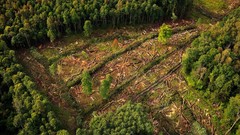 Landscapes nature lithuania Baltic states unseen lithuania