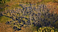 Landscapes nature lithuania Baltic states unseen lithuania