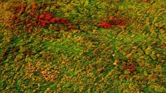 Landscapes nature lithuania Baltic states unseen lithuania