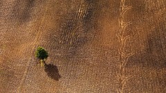 Landscapes nature lithuania Baltic states unseen lithuania