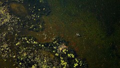 Landscapes nature lithuania Baltic states unseen lithuania