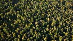 Landscapes nature lithuania Baltic states unseen lithuania