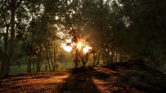 Landscapes nature magic