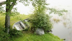 Landscapes nature mist