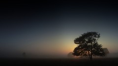 Landscapes nature mist