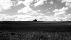 Landscapes nature monochrome