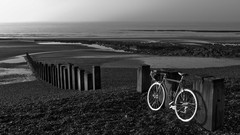 Landscapes nature monochrome Bicycles