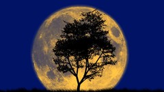 Landscapes nature moon