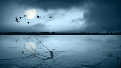 Landscapes nature moon