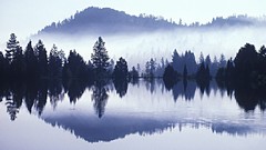 Landscapes nature morning mist