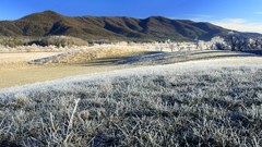 Landscapes nature morning national park Tennessee frosty great 