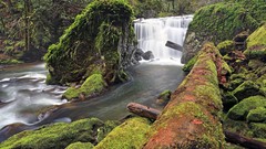 Landscapes nature moss Oregon logs waterfalls rocks USA rivers 