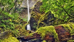 Landscapes nature moss Oregon waterfalls columbia