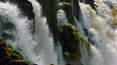 Landscapes nature moss Plants waterfalls rocks