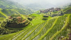 Landscapes nature Mountains