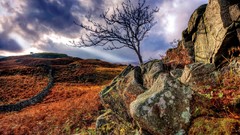 Landscapes nature Mountains