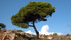 Landscapes nature Mountains