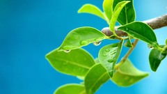 Landscapes nature Mountains