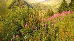 Landscapes nature Mountains