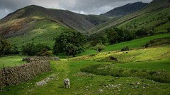 Landscapes nature Mountains