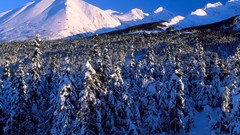 Landscapes nature Mountains Alaska canyon