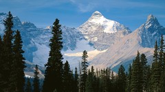Landscapes nature Mountains alberta mount national park