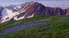 Landscapes nature Mountains arm north national park Wildflowers