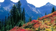 Landscapes nature Mountains autumn spectrum Range mount