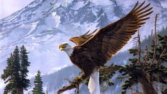 Landscapes nature Mountains Birds Eagles digital art
