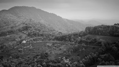 Landscapes nature Mountains black and white