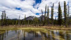 Landscapes nature Mountains Canada lakes reflections forests