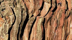 Landscapes nature Mountains climbing