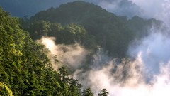 Landscapes nature Mountains clouds hills mist