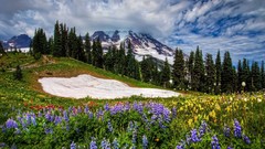 Landscapes nature Mountains clouds meadows Wildflowers skies 