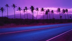 Landscapes nature Mountains clouds palm trees