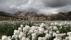 Landscapes nature Mountains cotton fields national geographic 