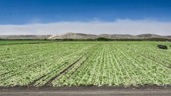 Landscapes nature Mountains countryside Culture agriculture