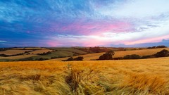 Landscapes nature Mountains fields