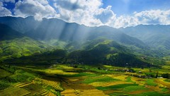 Landscapes nature Mountains fields sunlight Viet Nam