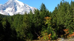 Landscapes nature Mountains forests