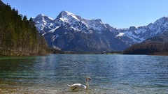 Landscapes nature Mountains forests