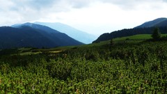 Landscapes nature Mountains Green natural