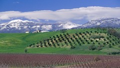 Landscapes nature Mountains hills Green spring crop wildlife