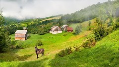 Landscapes nature Mountains hills Horses