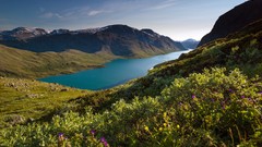 Landscapes nature Mountains hills Plants Norway Europe lakes